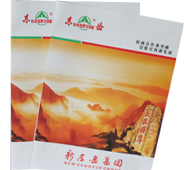 商業(yè)書刊
