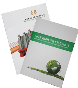 商業(yè)書刊